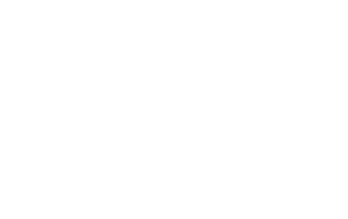 ILS logo