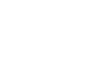 pfizer logo